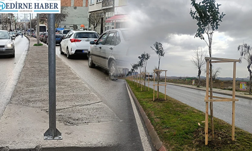 Kocasinan yeşeriyor, kıyık nefessiz kalıyor...