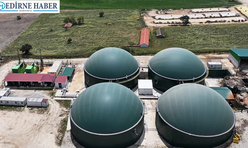 Kumdere köyünde kurulan tesiste bitkisel ve hayvansal atıklar elektriğe dönüşüyor