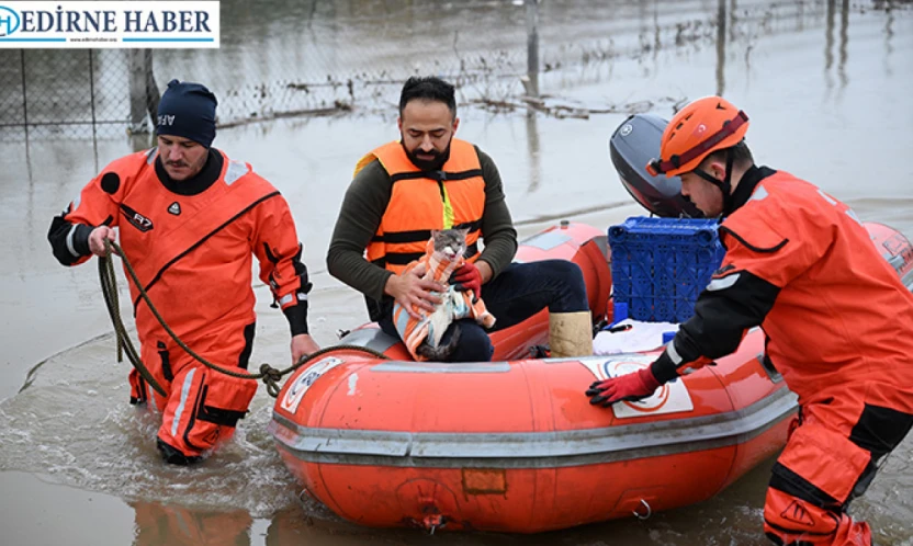 Meriç Nehri'nde mahsur kalan hayvanlar kurtarıldı