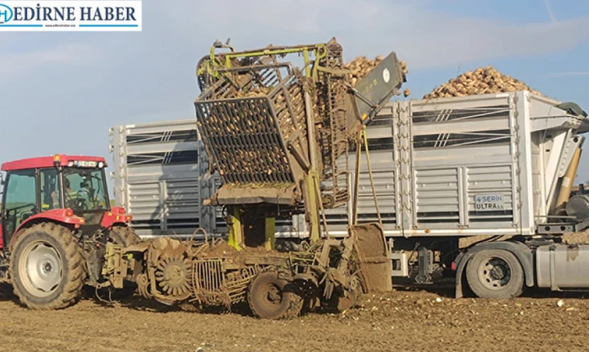 Pancar hasadı sürüyor