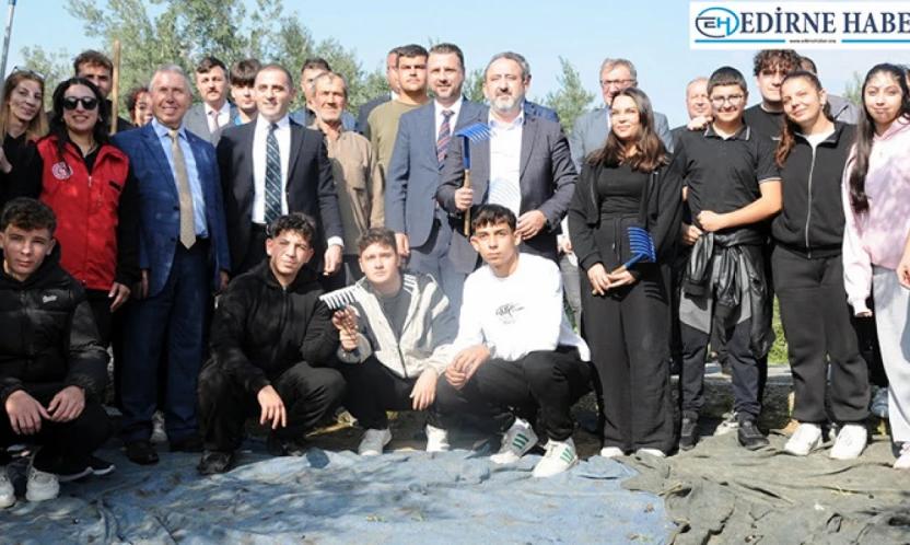 Şarköy'de zeytin hasadı coşkuyla başladı