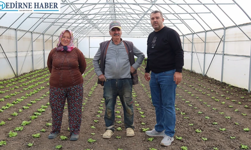 Seracılık hamlesi meyvelerini vermeye başladı