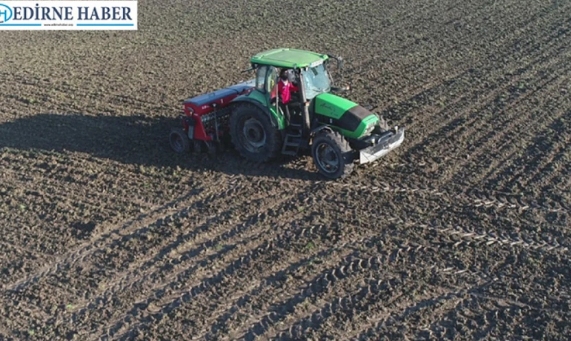 Taptık Köyü'nde suni mera alanı 600 dekara ulaşıyor