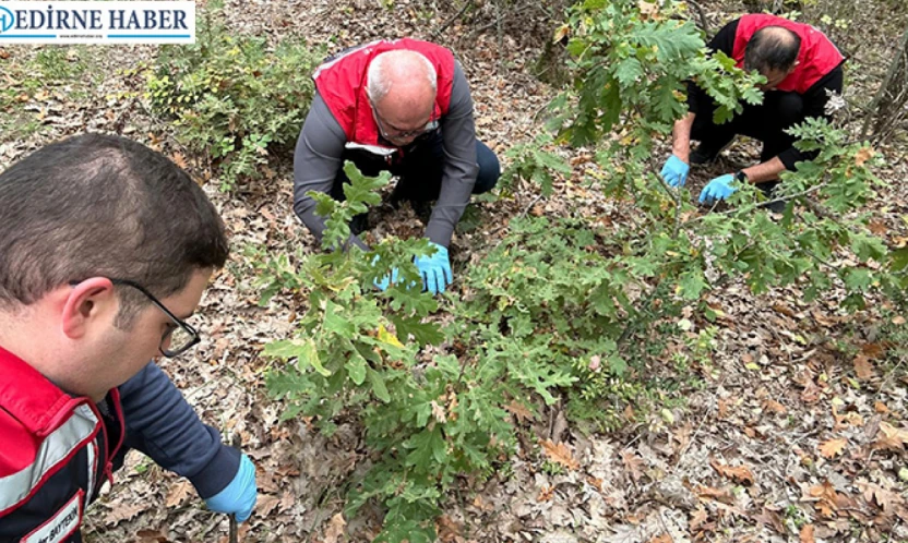 Tarım il müdürlüğü ekiplerinden verim kaybına karşı erken önlem
