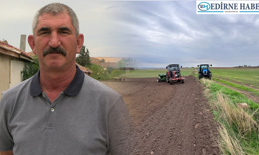 Tarlalarda kuraklık sonrası umutlu başlangıç