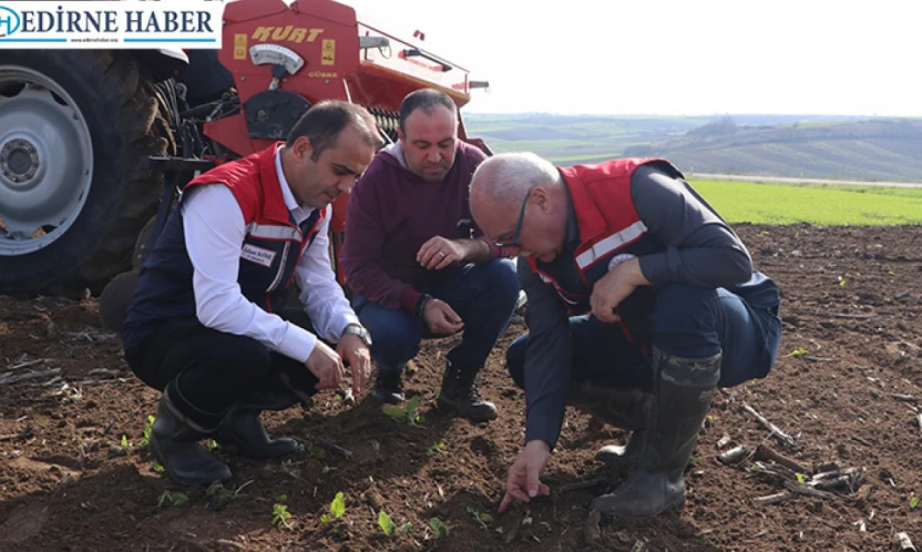Toprak işleme yöntemleri test edildi