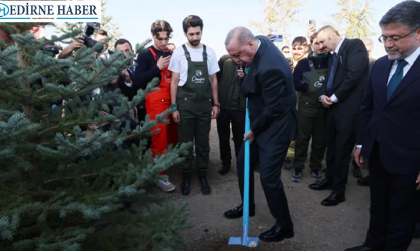Türkiye'de yeşil seferberlik