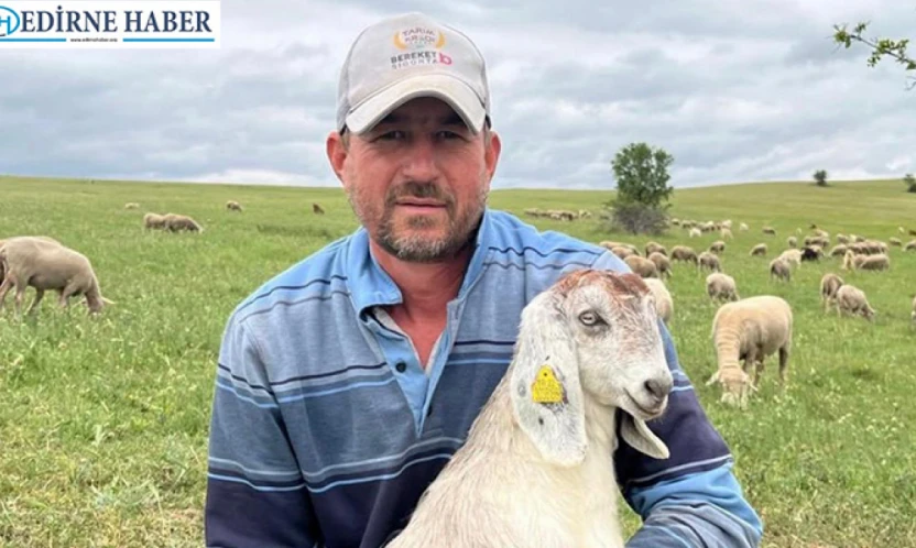 Üç farklı hayvan ırkıyla merada üretim: 'Mera olmadan olmaz'